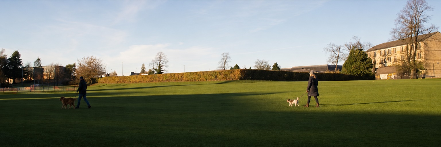 Best Dog-Friendly Walks in Paisley and Renfrewshire