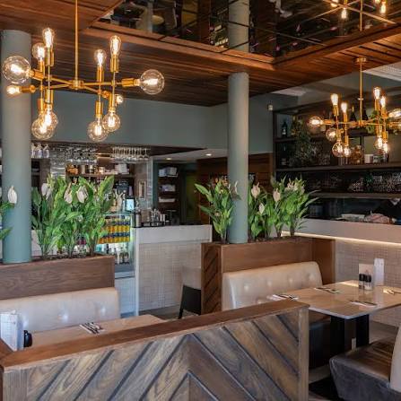 Trattoria Genova Wins Praise for Authentic Italian Dining