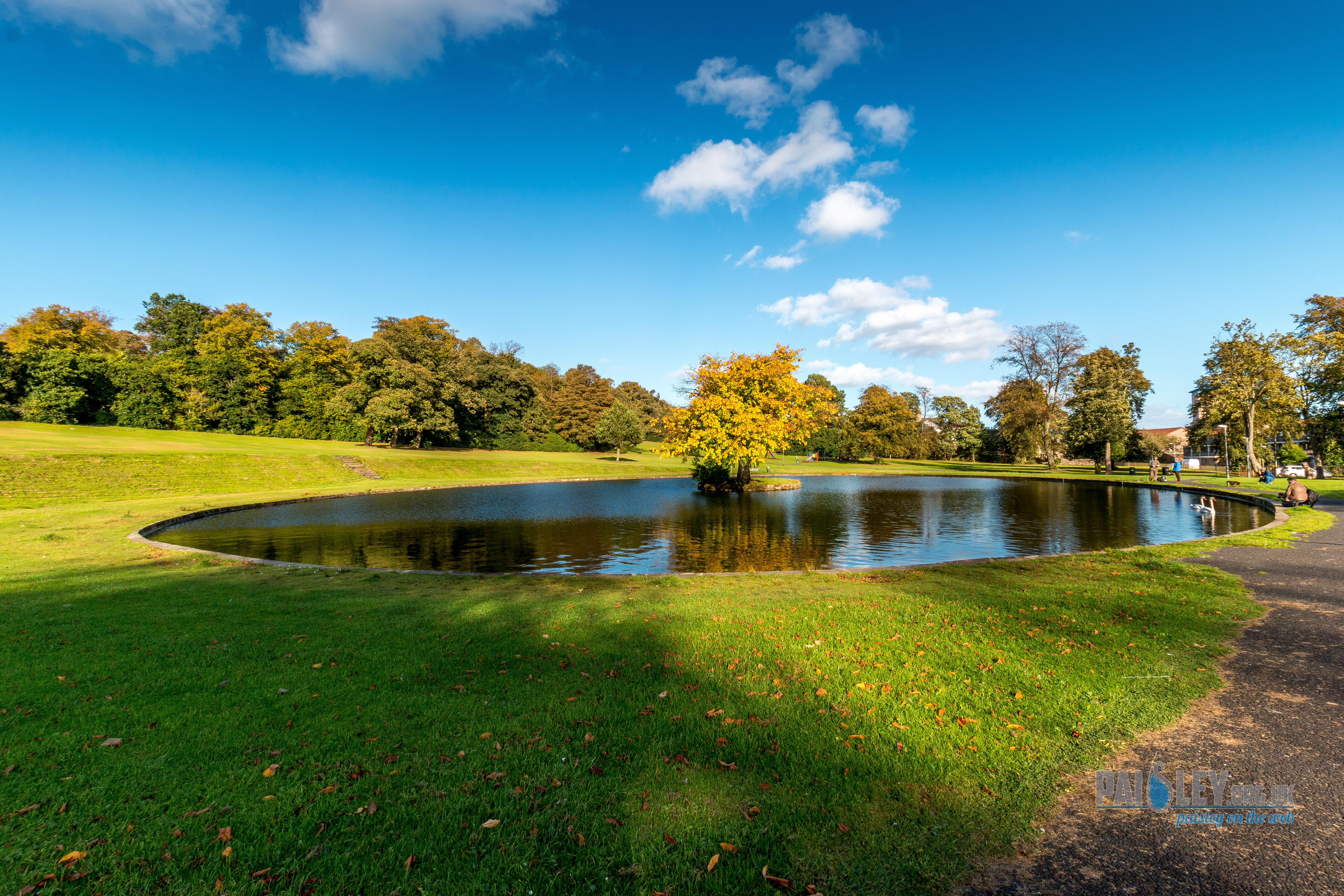 Best Dog-Friendly Walks in Paisley and Renfrewshire
