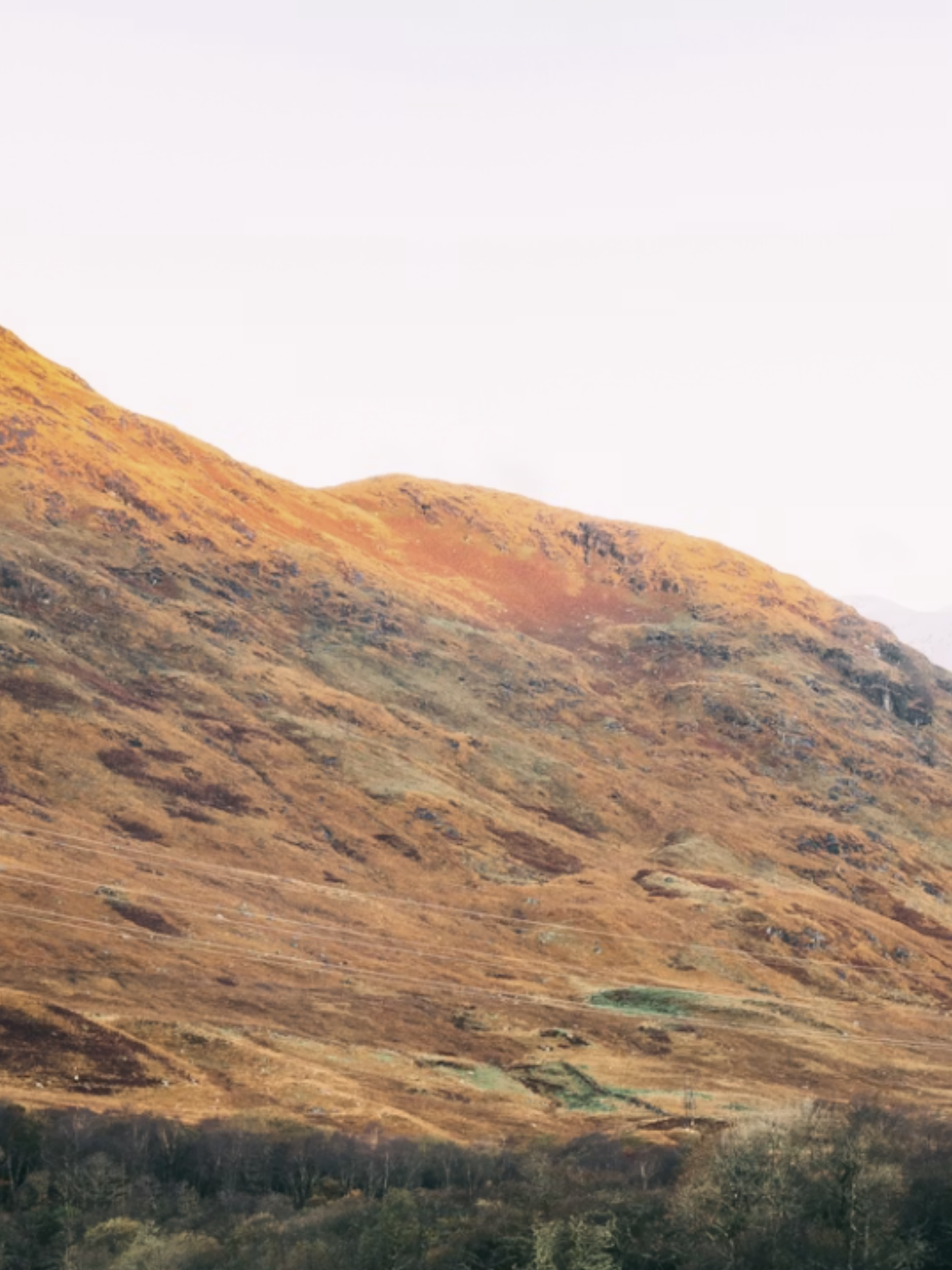 Weaving the Paisley Pattern into Modern Online Slot Design