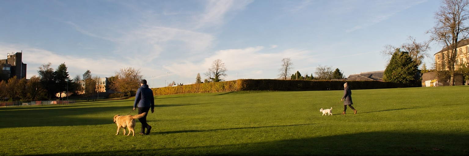 Best Dog-Friendly Walks in Paisley and Renfrewshire